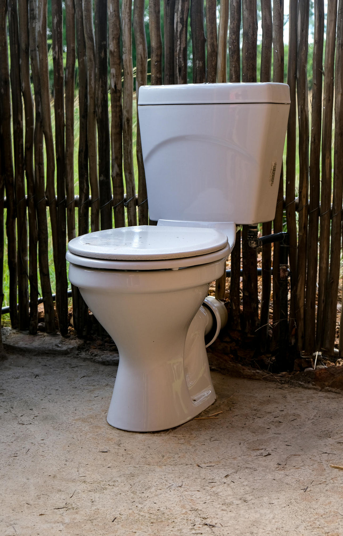 Poop and Acne: the connection