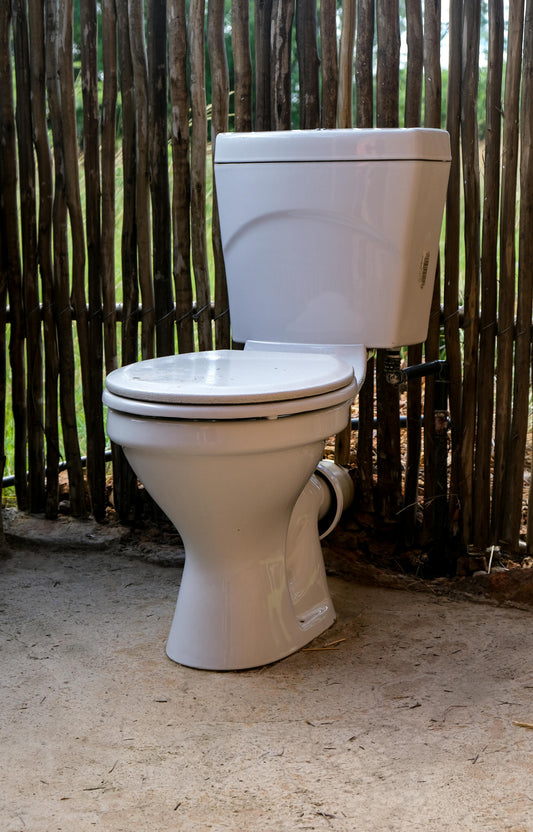 Poop and Acne: the connection